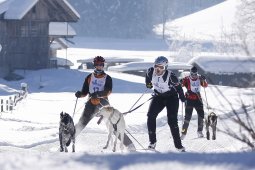 Lenk 2013